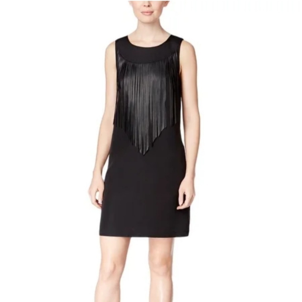 Kensie fringe dress